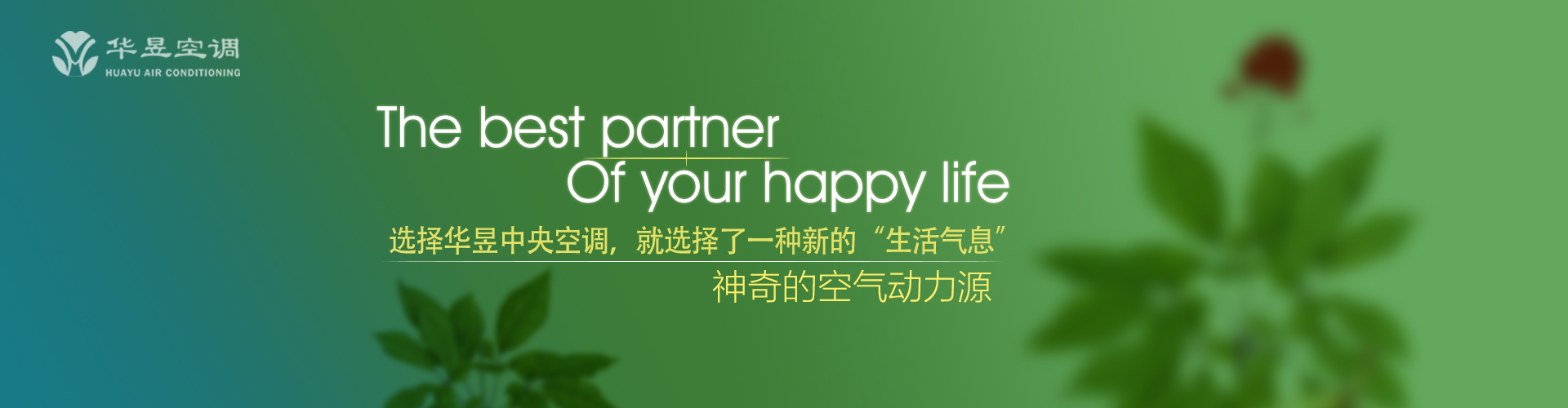词无枝叶网